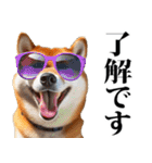 夏☆柴犬（敬語）（個別スタンプ：9）