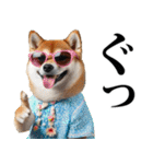 夏☆柴犬（敬語）（個別スタンプ：11）