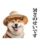 夏☆柴犬（敬語）（個別スタンプ：15）