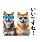 夏☆柴犬（敬語）（個別スタンプ：16）