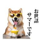 夏☆柴犬（敬語）（個別スタンプ：17）