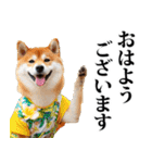 夏☆柴犬（敬語）（個別スタンプ：18）
