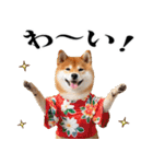 夏☆柴犬（敬語）（個別スタンプ：20）