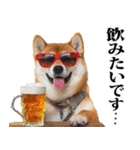 夏☆柴犬（敬語）（個別スタンプ：21）