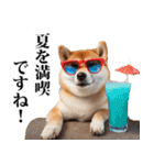 夏☆柴犬（敬語）（個別スタンプ：24）