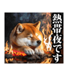 夏☆柴犬（敬語）（個別スタンプ：25）