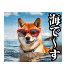 夏☆柴犬（敬語）（個別スタンプ：26）