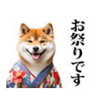 夏☆柴犬（敬語）（個別スタンプ：33）