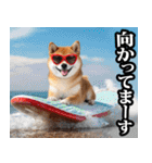 夏☆柴犬（敬語）（個別スタンプ：36）