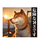 夏☆柴犬（敬語）（個別スタンプ：38）