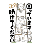 [BIG]シーズー犬 「頑張ってはいるよ...」（個別スタンプ：33）