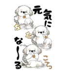 [BIG]シーズー犬 「頑張ってはいるよ...」（個別スタンプ：37）