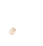 可愛い動物           スタンプ（個別スタンプ：2）