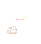 可愛い動物           スタンプ（個別スタンプ：4）