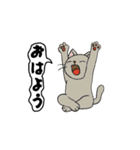 アクションk-gigi20（個別スタンプ：7）