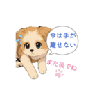 mix犬の挨拶アニメスタンプ（個別スタンプ：5）
