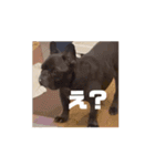 おおきな川の方々 2（個別スタンプ：1）