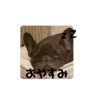 おおきな川の方々 2（個別スタンプ：2）