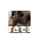 おおきな川の方々 2（個別スタンプ：3）