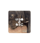 おおきな川の方々 2（個別スタンプ：4）