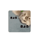 おおきな川の方々 2（個別スタンプ：7）