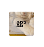 おおきな川の方々 2（個別スタンプ：9）