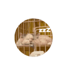 おおきな川の方々 2（個別スタンプ：10）