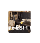 おおきな川の方々 2（個別スタンプ：11）