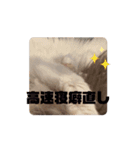 おおきな川の方々 2（個別スタンプ：12）