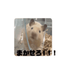 おおきな川の方々 2（個別スタンプ：13）