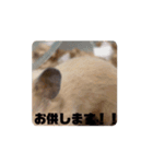 おおきな川の方々 2（個別スタンプ：14）