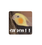 おおきな川の方々 2（個別スタンプ：16）