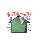 ハピラピスタンプ8歳お誕生日動画（個別スタンプ：14）