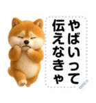 エッホエッホ 豆柴 伝えなきゃ メッセージ（個別スタンプ：21）