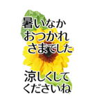 敬語で優しいBIG✿見やすいから伝わる気遣い（個別スタンプ：7）