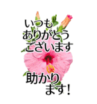 敬語で優しいBIG✿見やすいから伝わる気遣い（個別スタンプ：13）