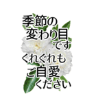 敬語で優しいBIG✿見やすいから伝わる気遣い（個別スタンプ：22）