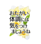 敬語で優しいBIG✿見やすいから伝わる気遣い（個別スタンプ：23）
