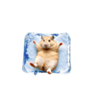 ハムスターが動きます3（個別スタンプ：5）