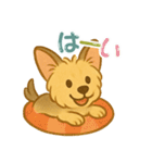 夏のヨーキー便り（個別スタンプ：2）