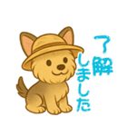 夏のヨーキー便り（個別スタンプ：3）
