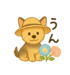夏のヨーキー便り（個別スタンプ：4）