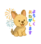 夏のヨーキー便り（個別スタンプ：9）