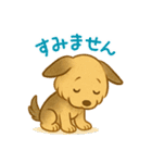 夏のヨーキー便り（個別スタンプ：11）