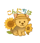 夏のヨーキー便り（個別スタンプ：13）