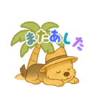 夏のヨーキー便り（個別スタンプ：16）