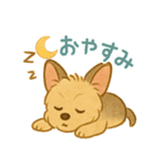 夏のヨーキー便り（個別スタンプ：17）