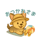 夏のヨーキー便り（個別スタンプ：19）