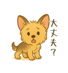 夏のヨーキー便り（個別スタンプ：22）