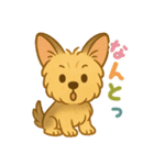 夏のヨーキー便り（個別スタンプ：23）